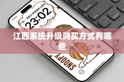 江西系统升级购买方式有哪些