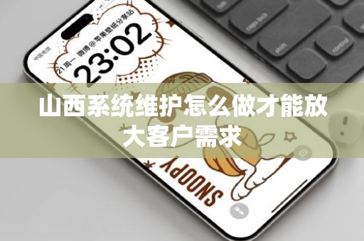 山西系统维护怎么做才能放大客户需求
