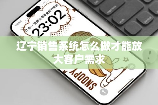 辽宁销售系统怎么做才能放大客户需求