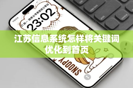 江苏信息系统怎样将关键词优化到首页
