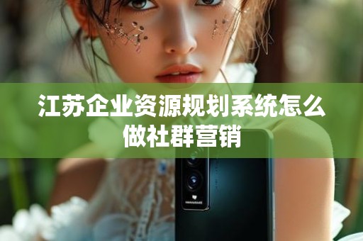 江苏企业资源规划系统怎么做社群营销