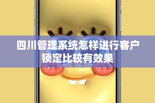 四川管理系统怎样进行客户锁定比较有效果