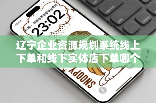 辽宁企业资源规划系统线上下单和线下实体店下单哪个好：全面解析与对比