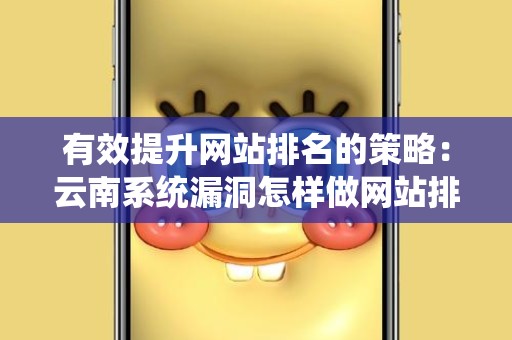 有效提升网站排名的策略：云南系统漏洞怎样做网站排名