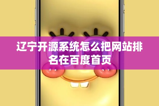 辽宁开源系统怎么把网站排名在百度首页