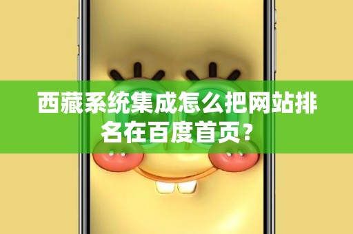 西藏系统集成怎么把网站排名在百度首页？