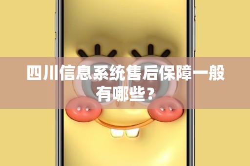 四川信息系统售后保障一般有哪些？