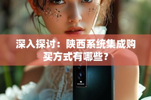 深入探讨：陕西系统集成购买方式有哪些？