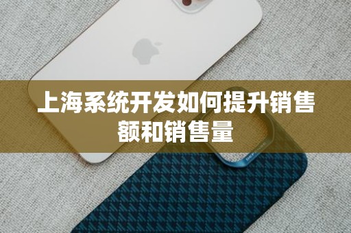 上海系统开发如何提升销售额和销售量