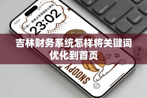 吉林财务系统怎样将关键词优化到首页