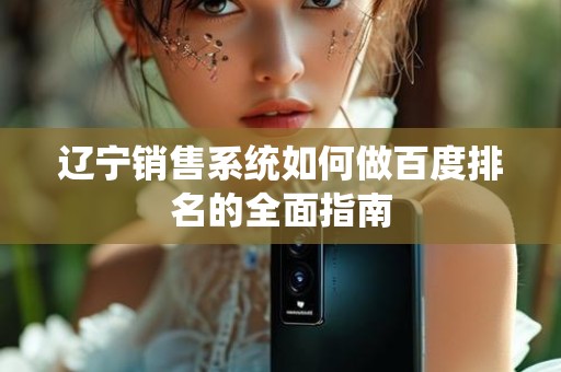 辽宁销售系统如何做百度排名的全面指南