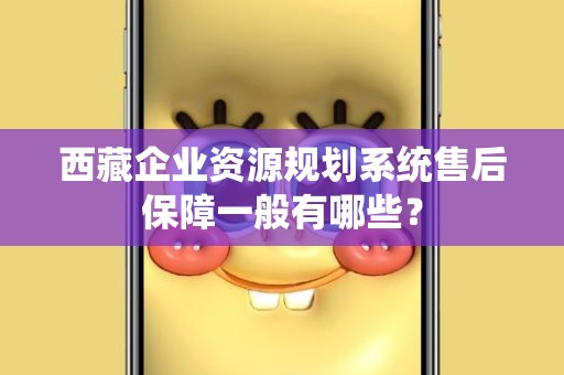 西藏企业资源规划系统售后保障一般有哪些？