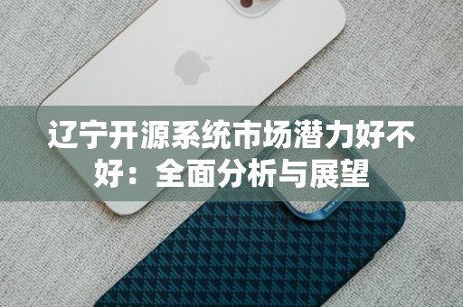 辽宁开源系统市场潜力好不好：全面分析与展望