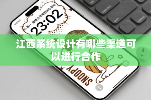江西系统设计有哪些渠道可以进行合作