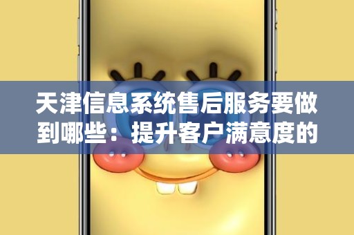 天津信息系统售后服务要做到哪些：提升客户满意度的关键策略