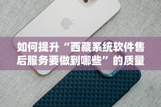 如何提升“西藏系统软件售后服务要做到哪些”的质量？