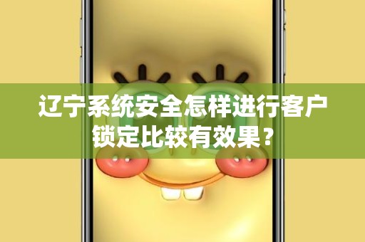 辽宁系统安全怎样进行客户锁定比较有效果？