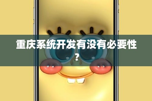 重庆系统开发有没有必要性？