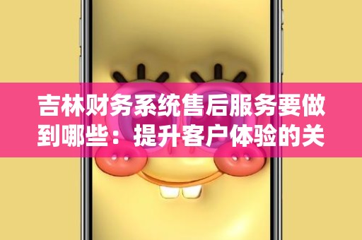 吉林财务系统售后服务要做到哪些：提升客户体验的关键要素