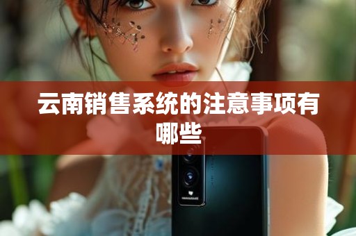 云南销售系统的注意事项有哪些