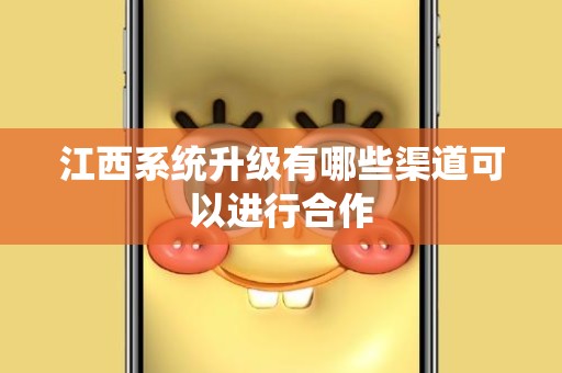 江西系统升级有哪些渠道可以进行合作