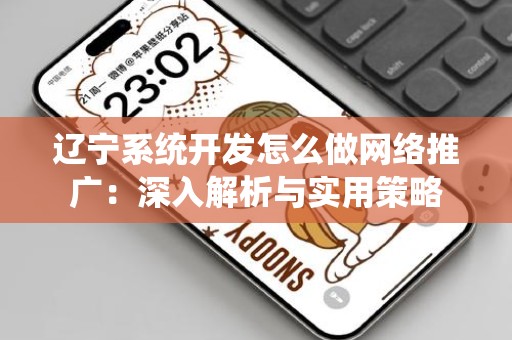 辽宁系统开发怎么做网络推广：深入解析与实用策略