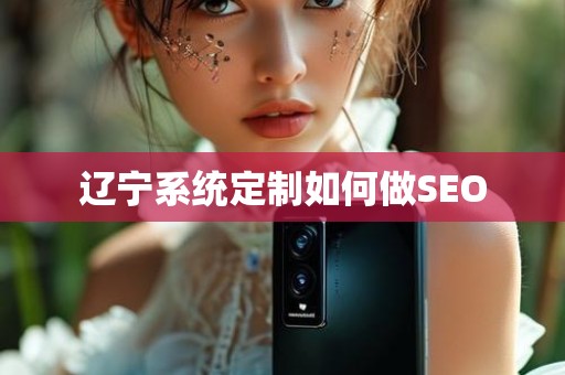 辽宁系统定制如何做SEO