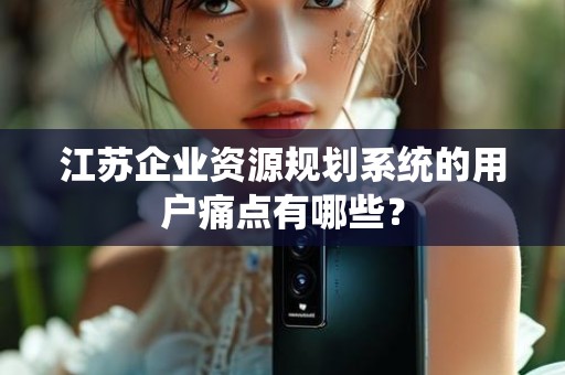 江苏企业资源规划系统的用户痛点有哪些？