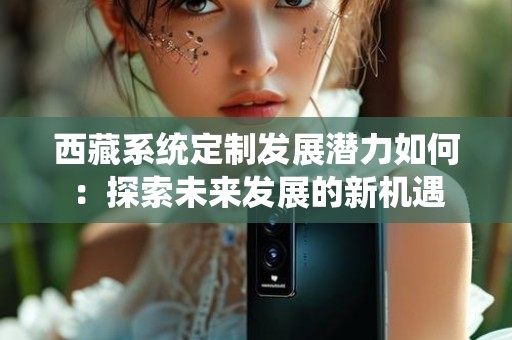 西藏系统定制发展潜力如何：探索未来发展的新机遇