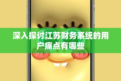 深入探讨江苏财务系统的用户痛点有哪些