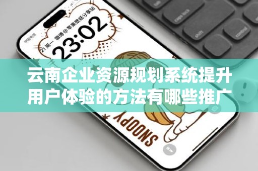 云南企业资源规划系统提升用户体验的方法有哪些推广方式有哪些？