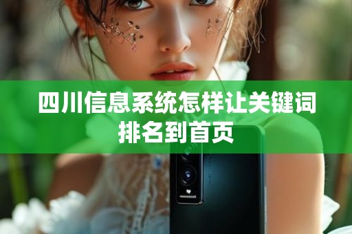 四川信息系统怎样让关键词排名到首页