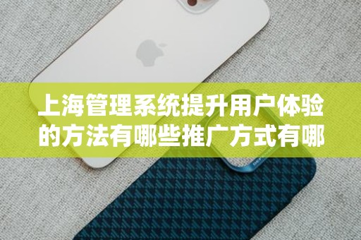 上海管理系统提升用户体验的方法有哪些推广方式有哪些：全面解析