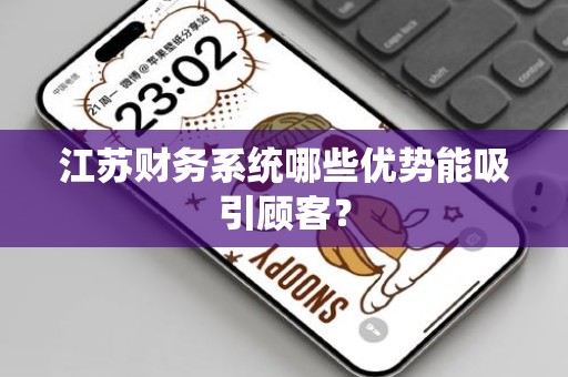 江苏财务系统哪些优势能吸引顾客？