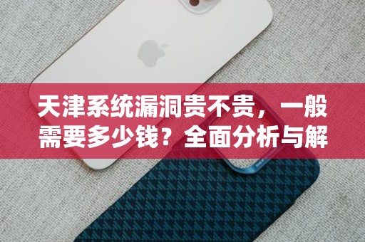 天津系统漏洞贵不贵，一般需要多少钱？全面分析与解答