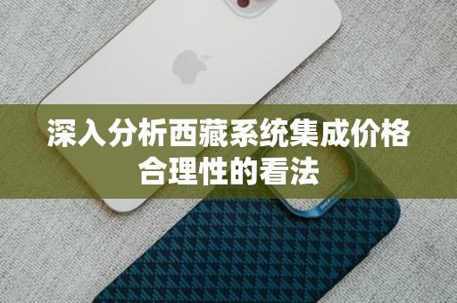 深入分析西藏系统集成价格合理性的看法