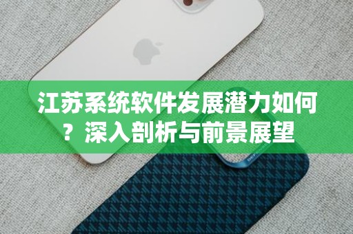 江苏系统软件发展潜力如何？深入剖析与前景展望