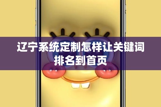 辽宁系统定制怎样让关键词排名到首页