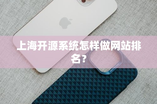 上海开源系统怎样做网站排名？