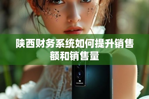 陕西财务系统如何提升销售额和销售量
