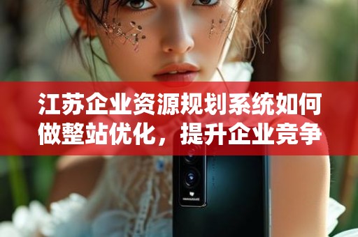 江苏企业资源规划系统如何做整站优化，提升企业竞争力