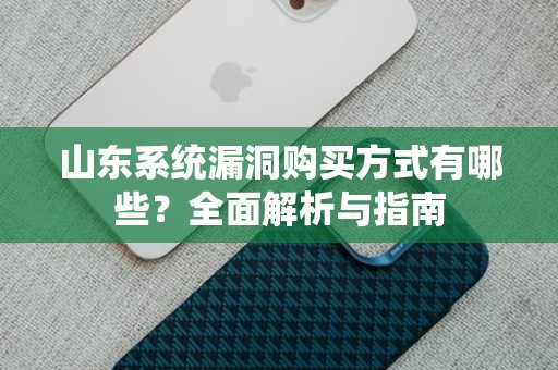 山东系统漏洞购买方式有哪些？全面解析与指南