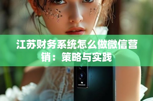 江苏财务系统怎么做微信营销：策略与实践