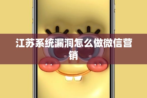 江苏系统漏洞怎么做微信营销