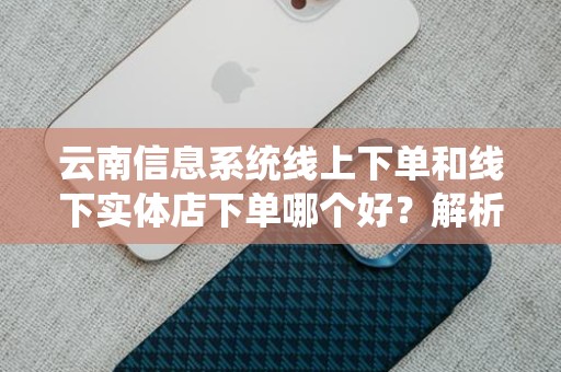云南信息系统线上下单和线下实体店下单哪个好？解析优劣势与选购技巧