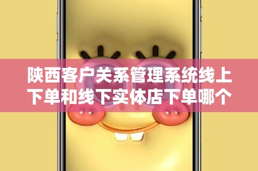 陕西客户关系管理系统线上下单和线下实体店下单哪个好？