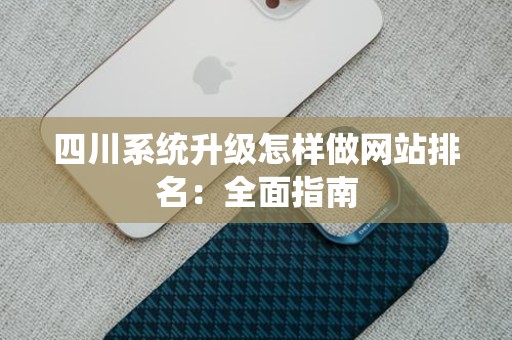 四川系统升级怎样做网站排名：全面指南