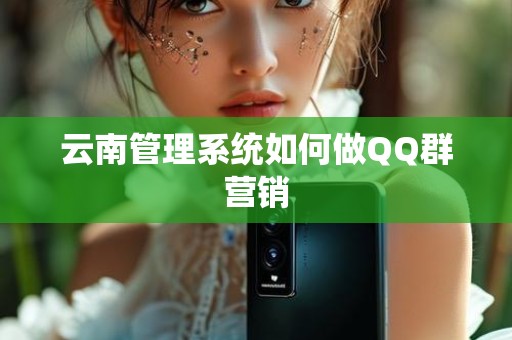 云南管理系统如何做QQ群营销