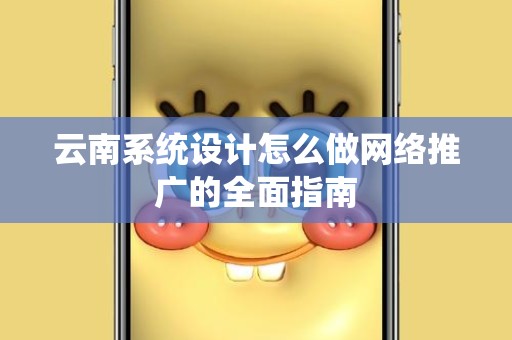 云南系统设计怎么做网络推广的全面指南
