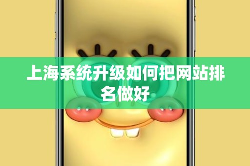 上海系统升级如何把网站排名做好